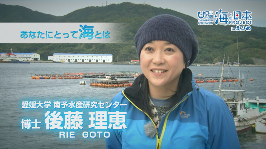 愛媛大学 南予水産研究センター 後藤理恵博士のインタビューがUPされました！