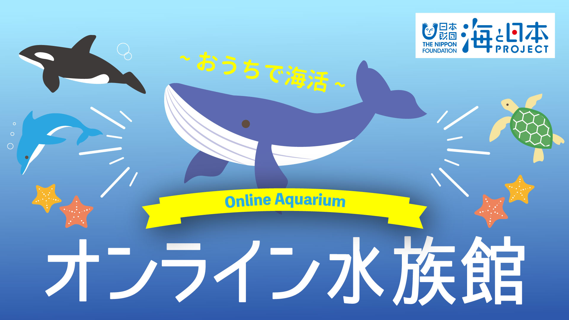おうちで海活 オンライン水族館 自宅でも水族館が楽しめるオンライン水族館スタートしました 海と日本project In えひめ