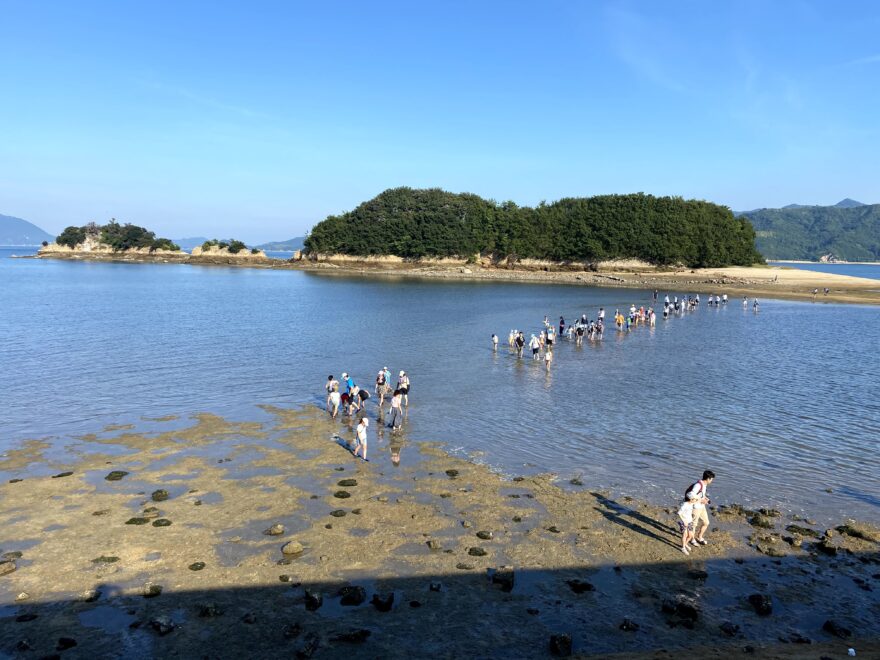 【年に数回しか現れない、村上海賊につながる道】村上海賊に学ぶ！しまなみ海道合宿2日目