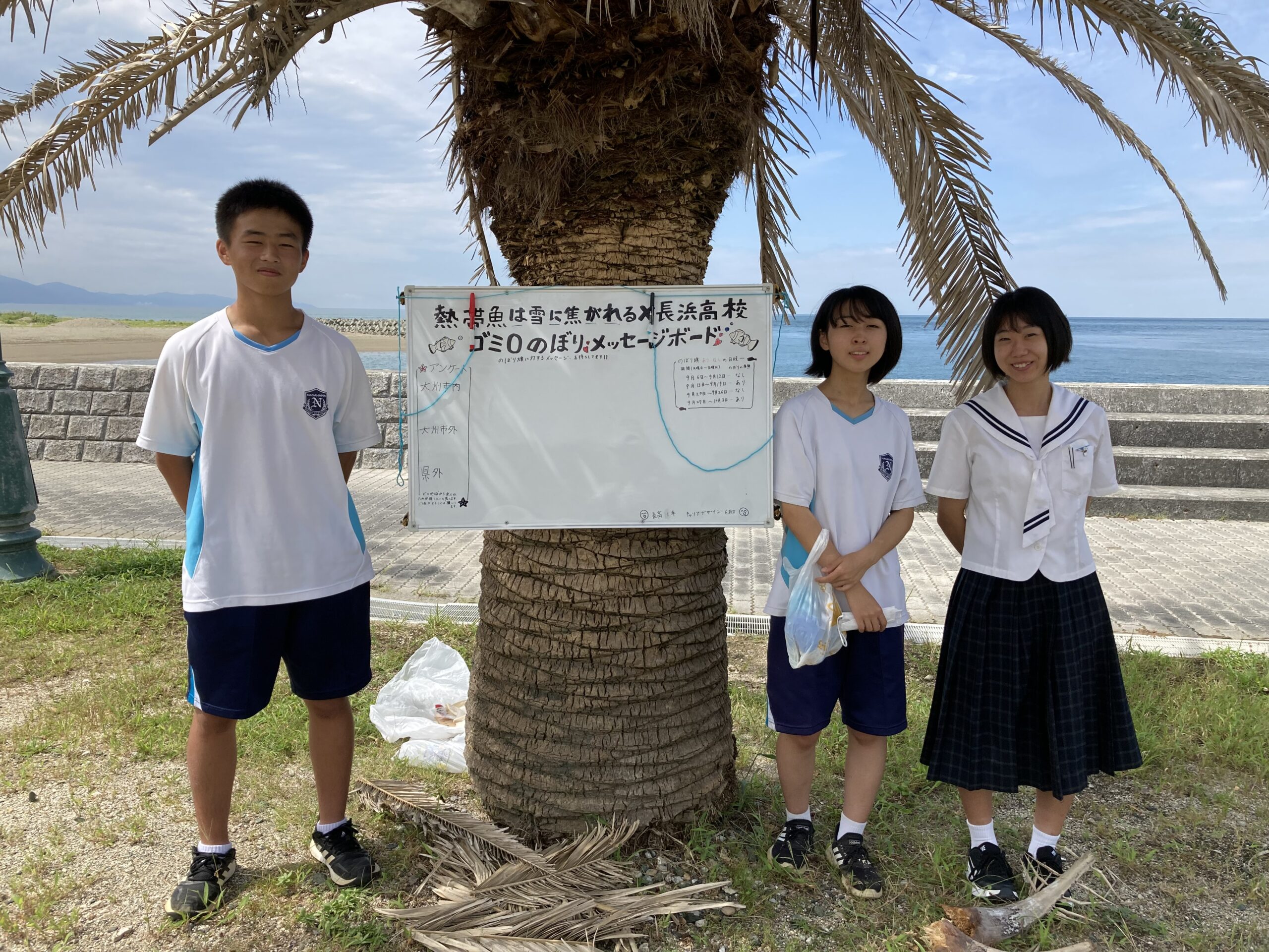 image_50453505