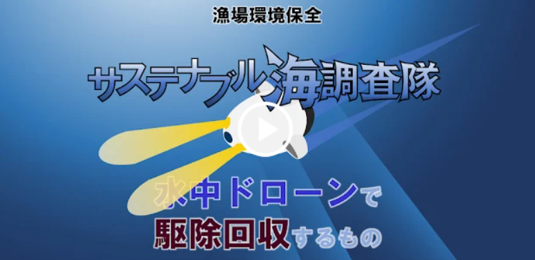 海調査隊