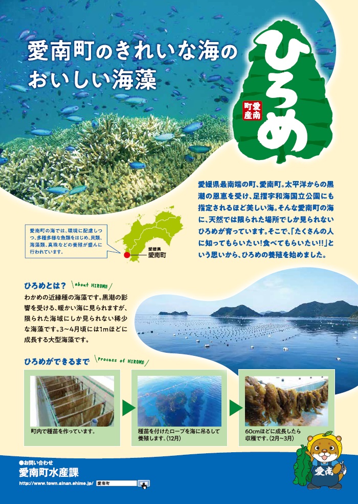 ひろめ③