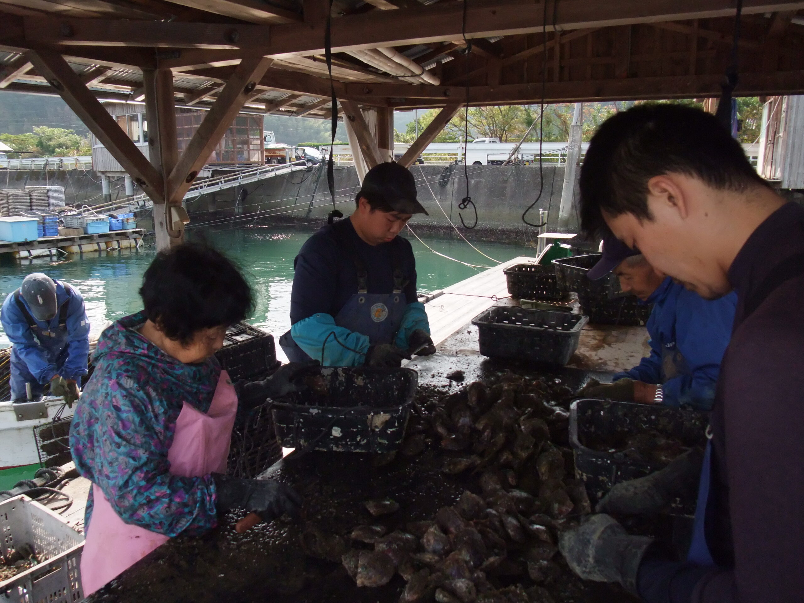 浜揚げ②