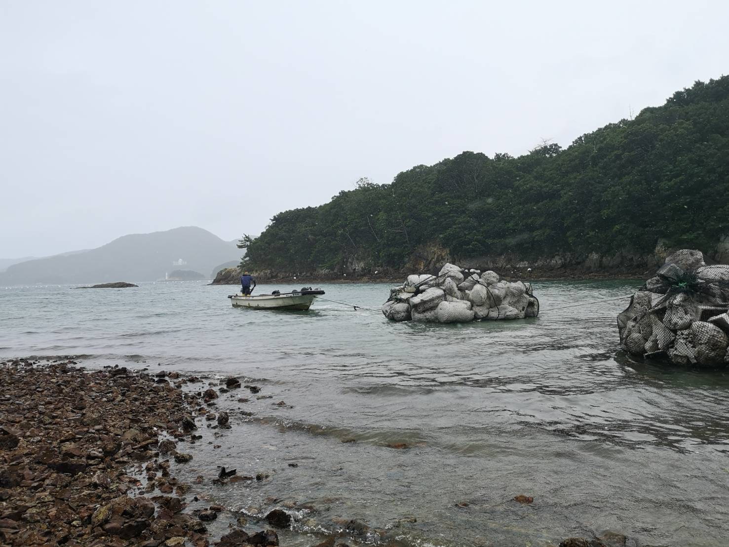 ごみ⑭IMG_2796