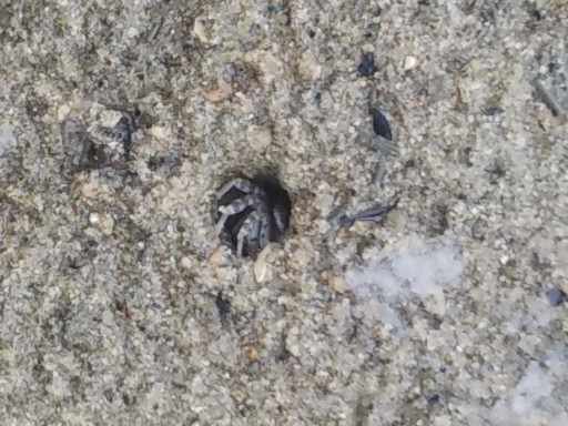 ２