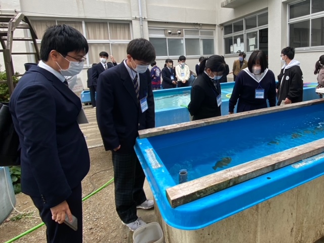 水族館見学