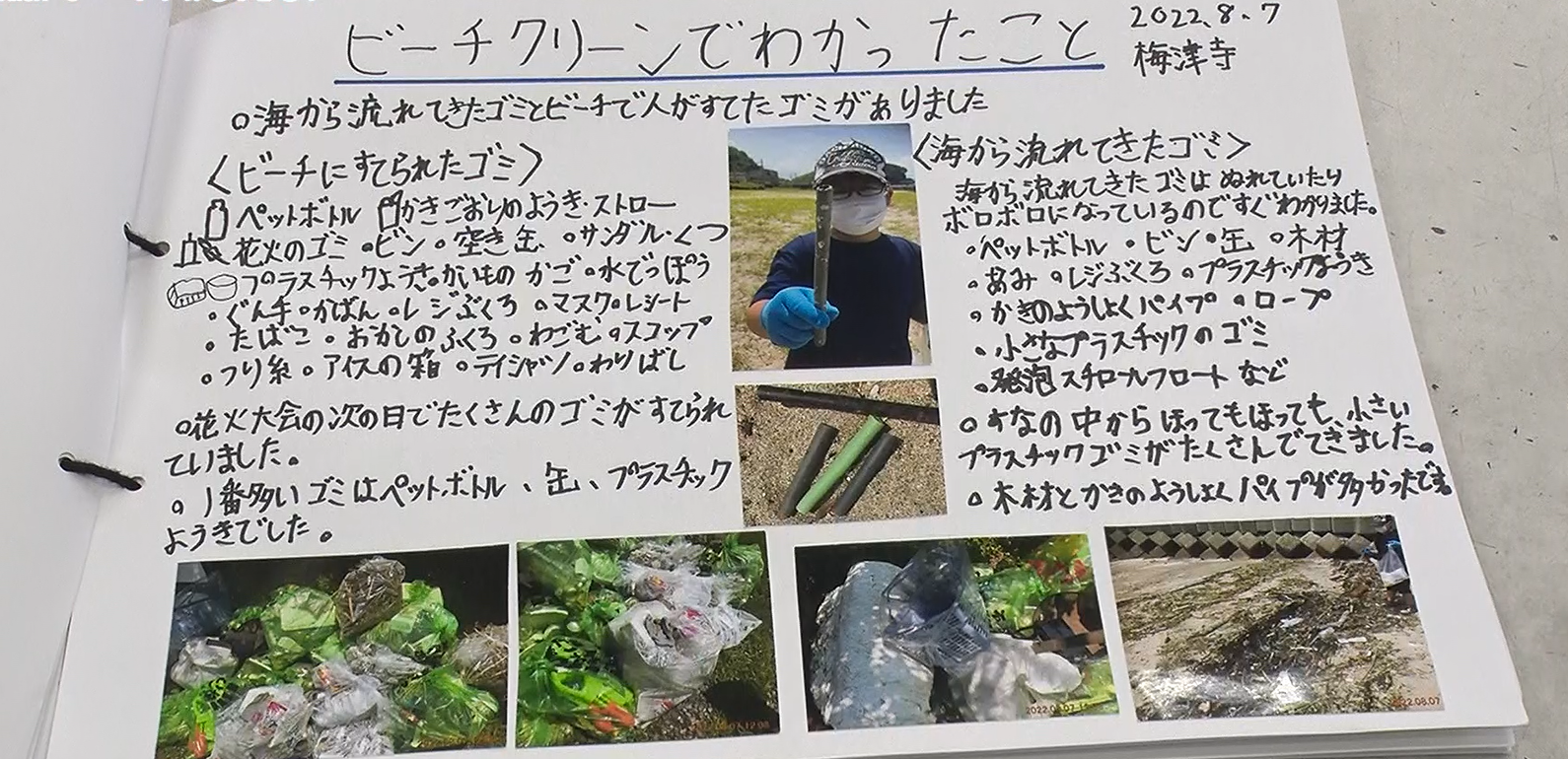 自由研究　奥村太陽
