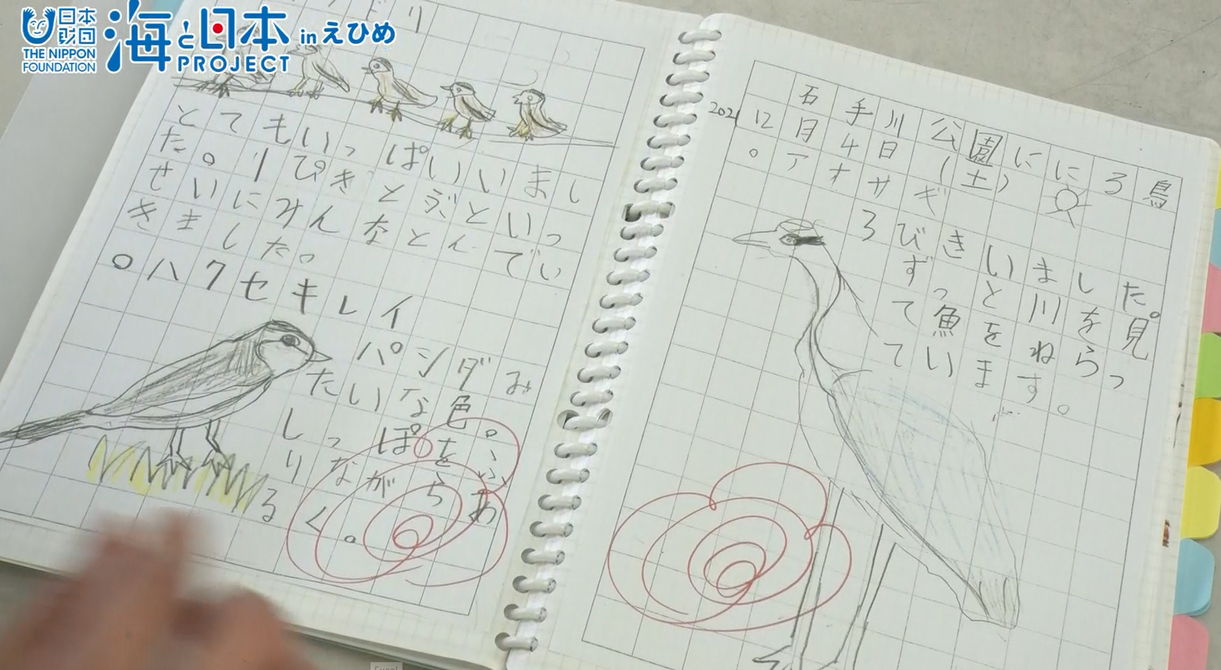 絵日記　奥村太陽