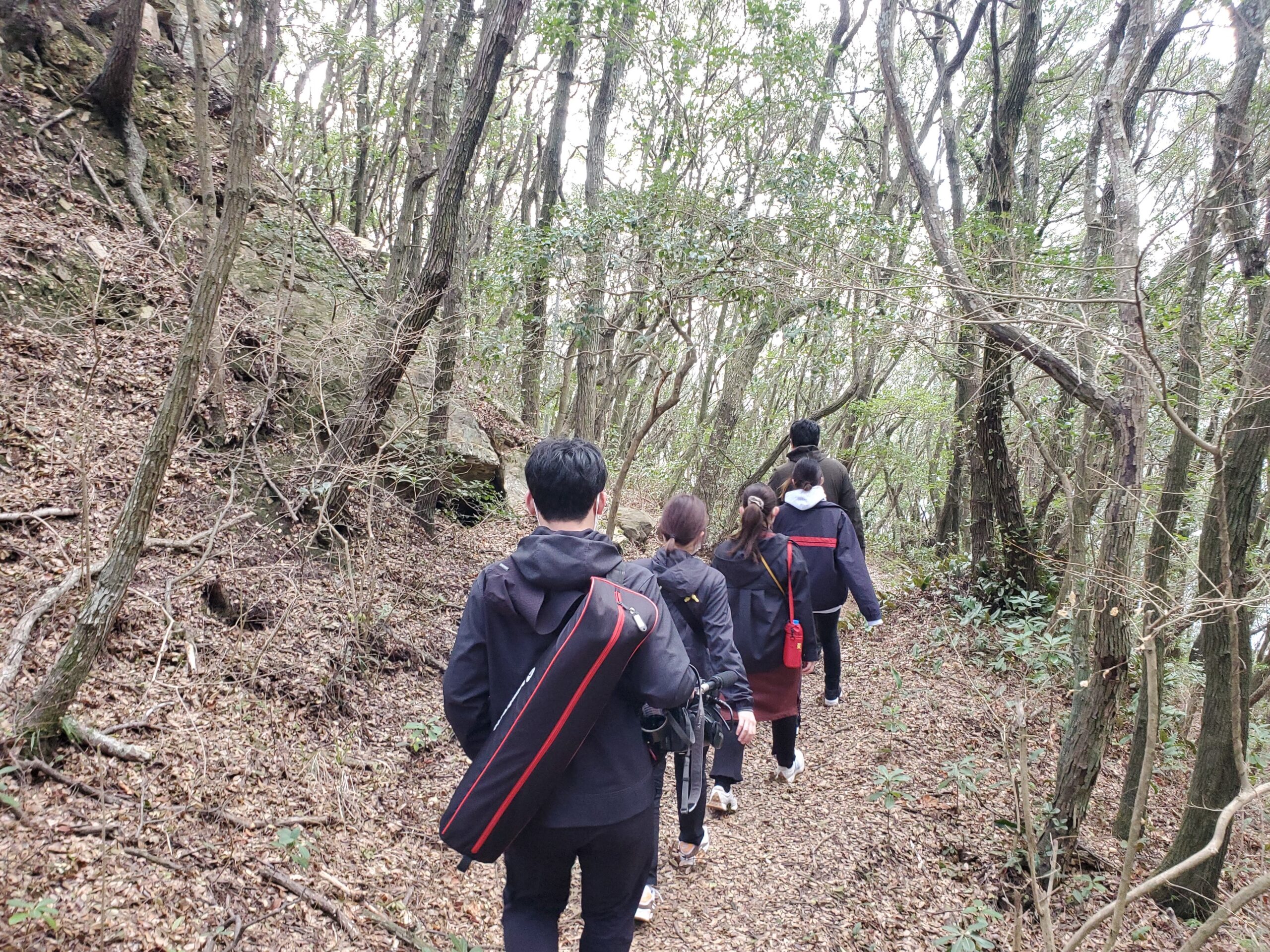 ②ウバメガシの遊歩道をゆく