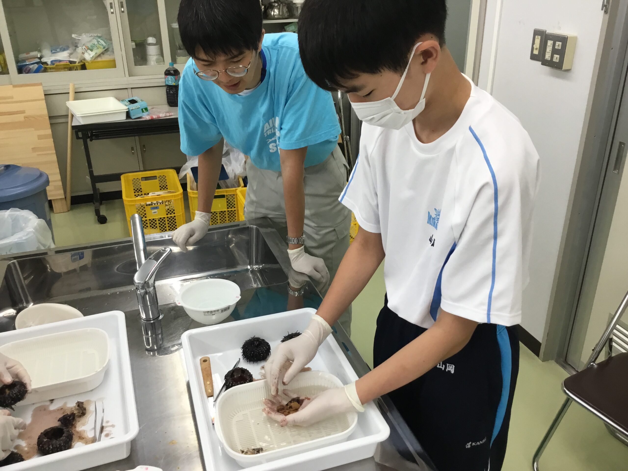 水４