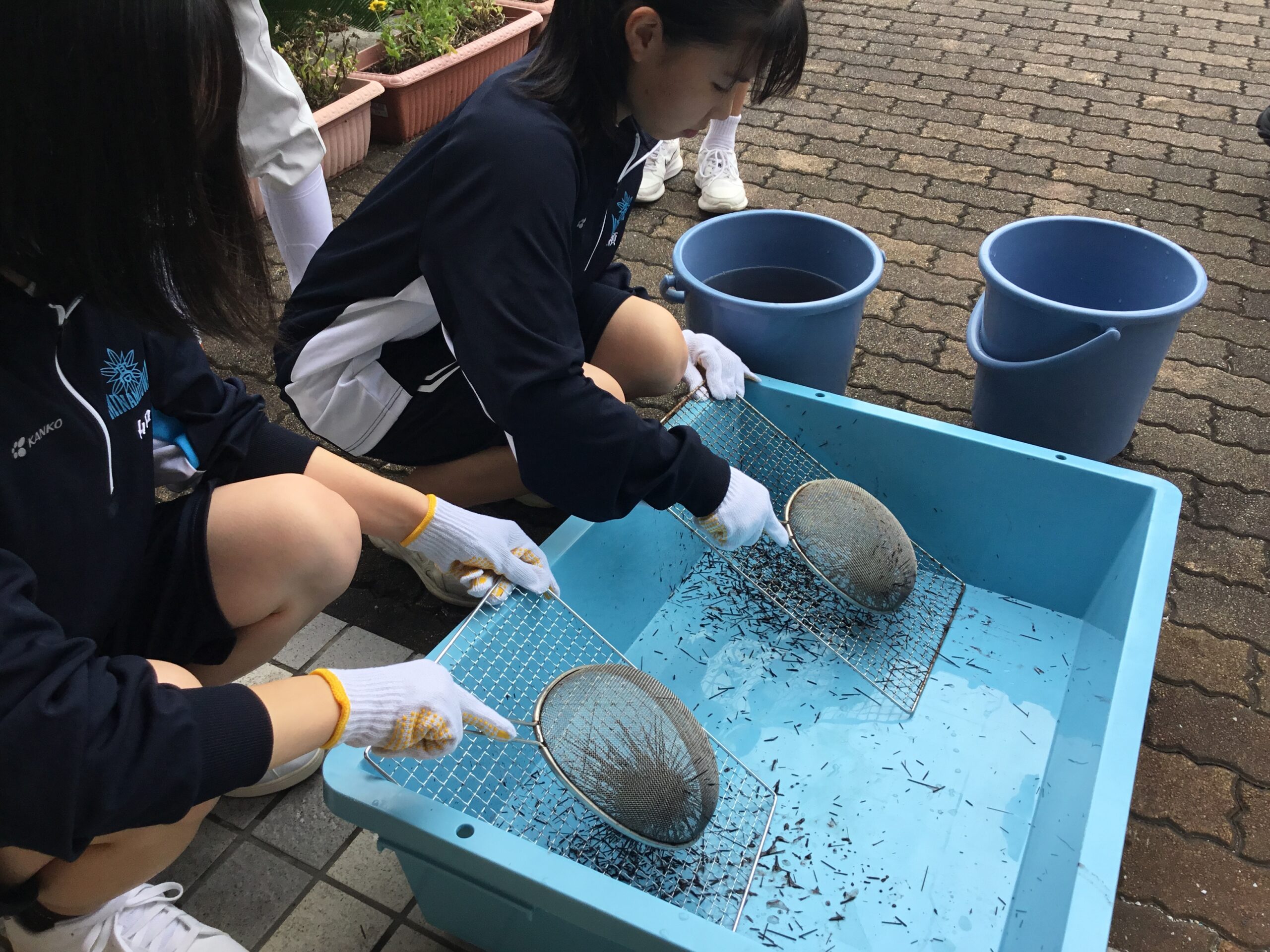 水２