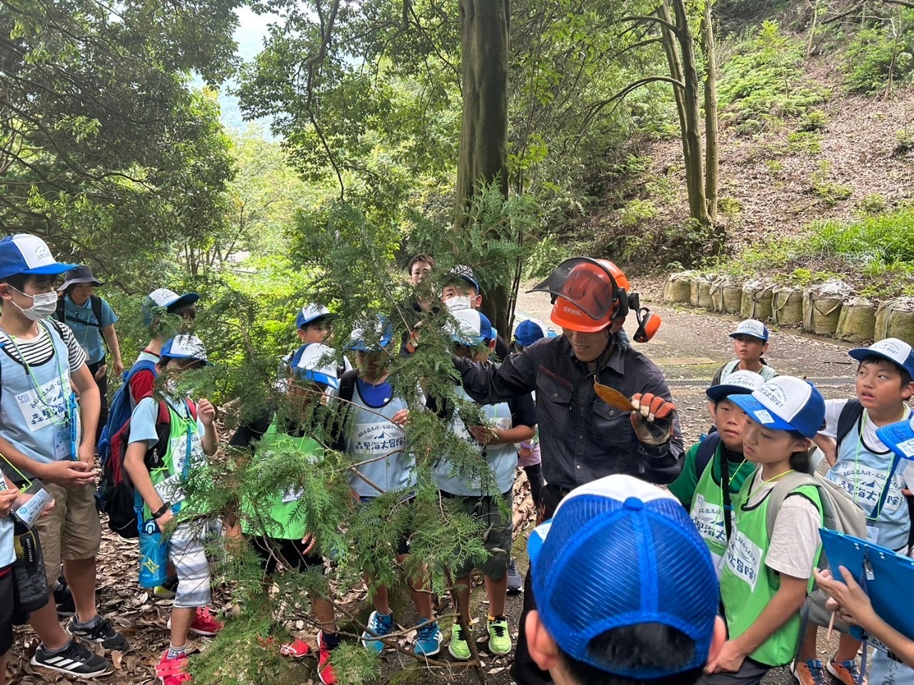 円山②