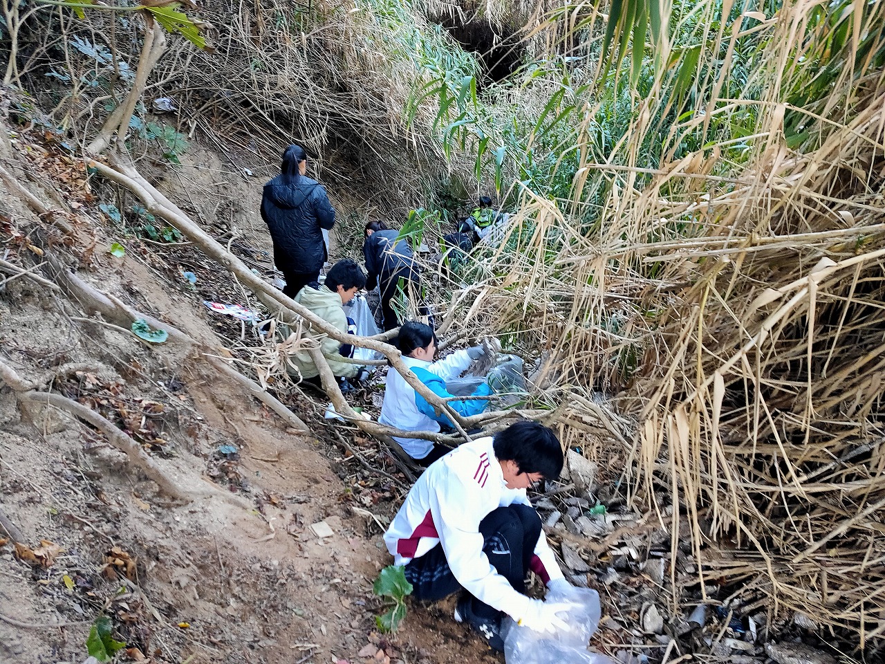 野忽那島①