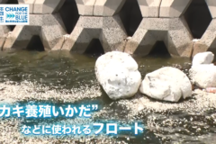 【8月15日テレビ放送のお知らせ】カキ養殖フロート流出防止モデル事業開始