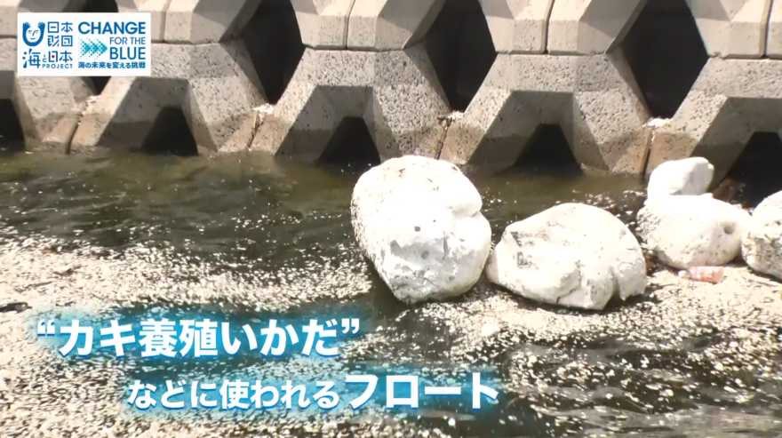 【8月15日テレビ放送のお知らせ】カキ養殖フロート流出防止モデル事業開始