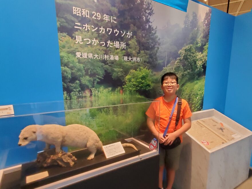 【灯台博士　大成さんによるコラム】ニホンカワウソに会いに行く