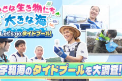 【9月27日テレビ放送のお知らせ】小さな生き物たちの大きな海～Let’s Go タイドプール～