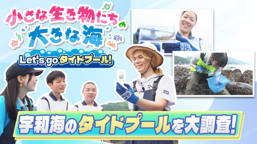 【9月27日テレビ放送のお知らせ】小さな生き物たちの大きな海～Let’s Go タイドプール～