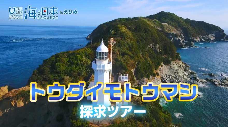 【11月2日テレビ放送のお知らせ】トウダイモトウマシ(佐田岬灯台×水産資源ツアー)