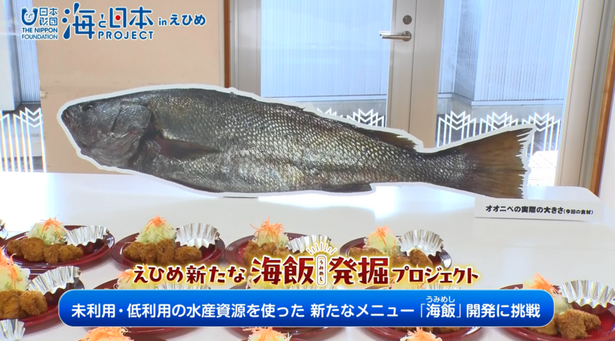 【12月12日テレビ放送のお知らせ】えひめ新たな海飯発掘プロジェクト　BEMAC社員食堂での低利用魚「オオニベ」を使ったメニューの提供をしました！