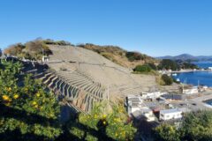 【灯台博士　大成さんによるコラム】宇和島へゆく②　〜遊子水荷浦の段畑〜