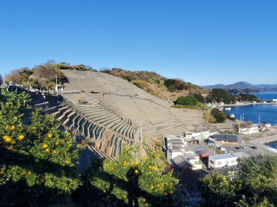 【灯台博士　大成さんによるコラム】宇和島へゆく②　〜遊子水荷浦の段畑〜